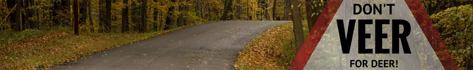 Deer on British roads