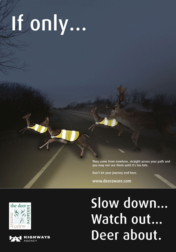 If only… Deer Aware poster