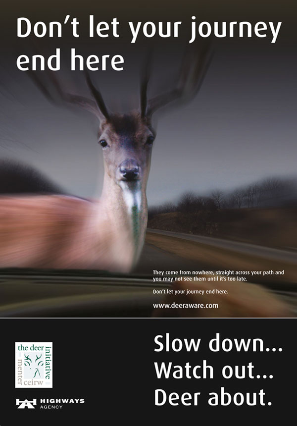 Don’t let your journey end here Deer Aware poster