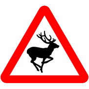 Deer crossing road sign