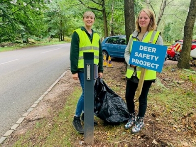 Cannock Chase Deer Safety Project