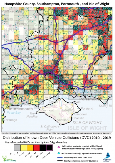 How Reporting a Deer Collision Can Make a Difference