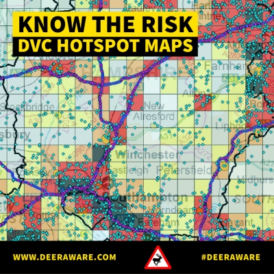 Knowing the Risks - New Deer Collision UK Hotspot Maps