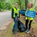 Cannock Chase Deer Safety Project