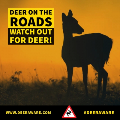 Warning of an increased risk of deer collisions as clocks go back